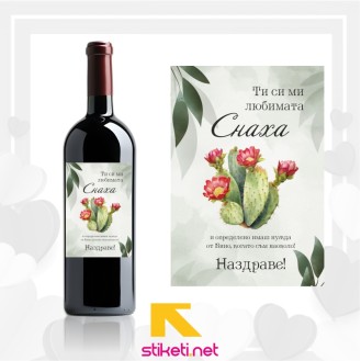 Любимата Снаха